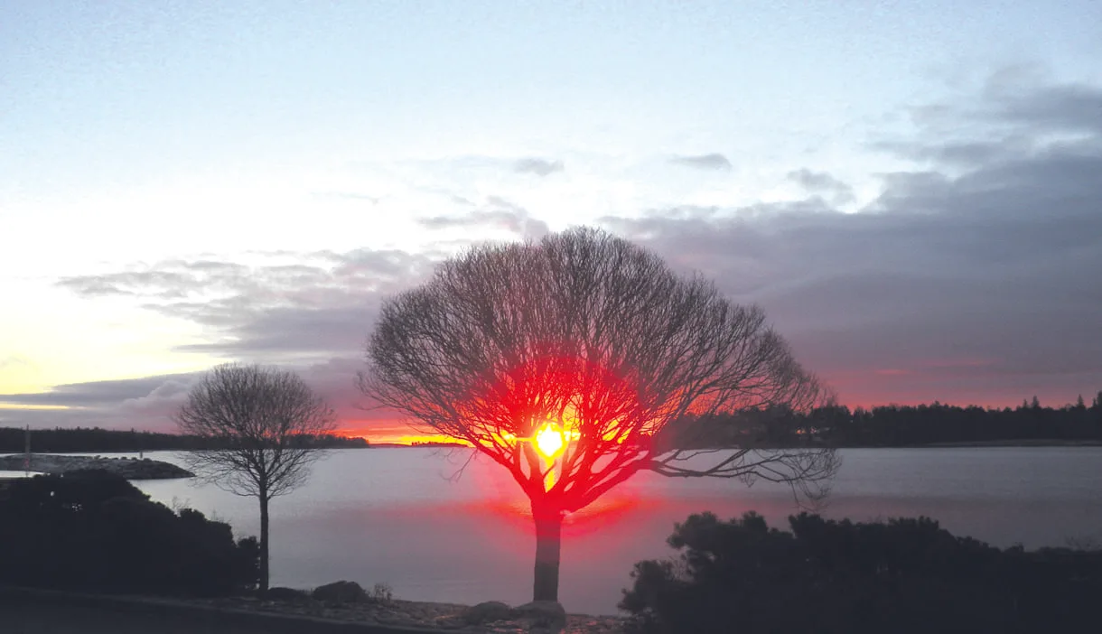 Auringonnousu Vuosaaressa.