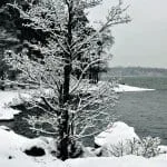 Talvi hiipii Uutelaan