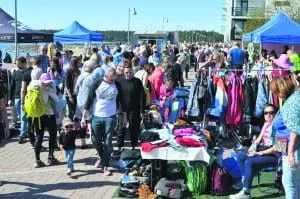 Aurinkokirppiksellä on riittänyt väkeä, kuva vuodelta 2019.