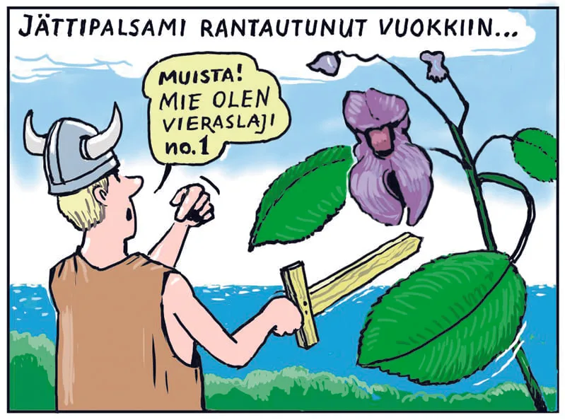 Jättipalsami.