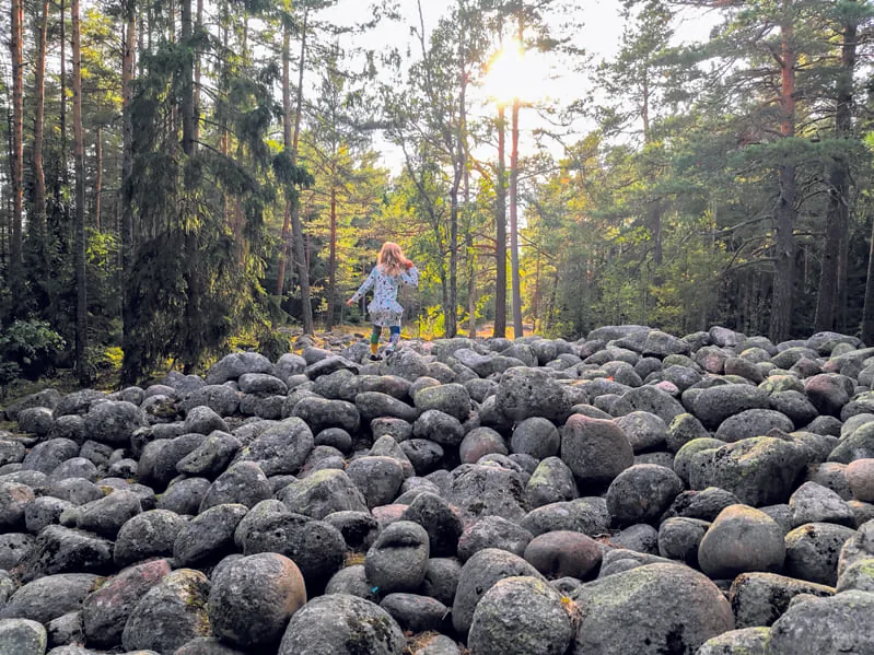 Rastilan retkipäivä pidetään 1.9. 