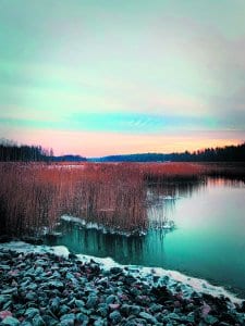 Vartiokylänlahti heräilee tammikuisena aamuna. Kuva: Suvi Lindvall
