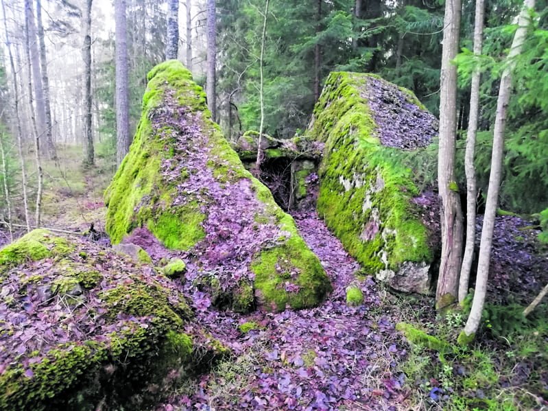 Merkillinen kivi Ruusuniemessä. Kuva: Risto Larjavaara