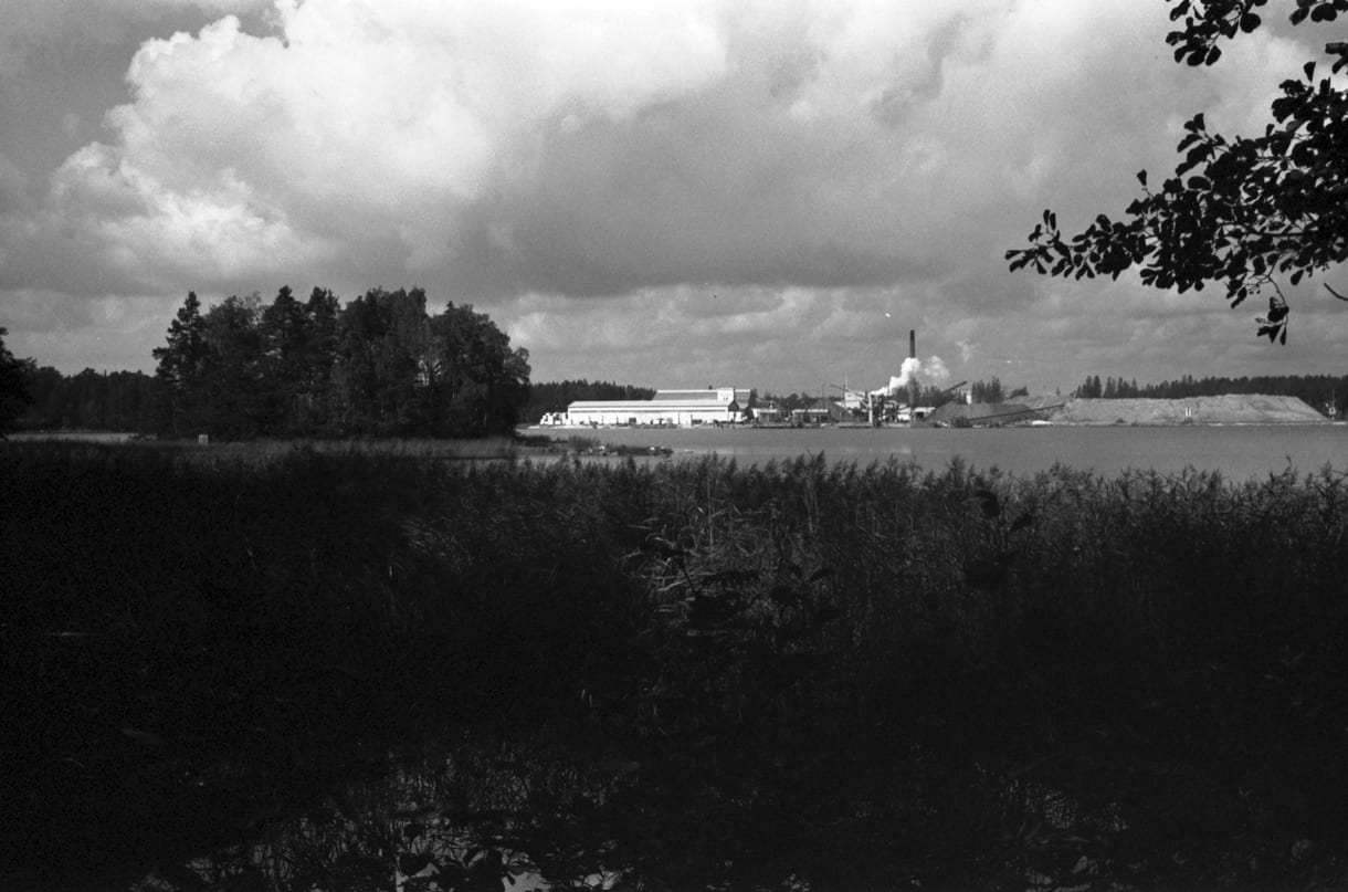 Sasekan tehdas Kallvikinniemestä päin kuvattuna. Kuva: Helsingin kaupunginmuseo, Eeva Rista 1970
