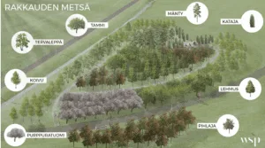 Rakkauden Metsä istutetaan Vuosaaren liikuntapuistoon.