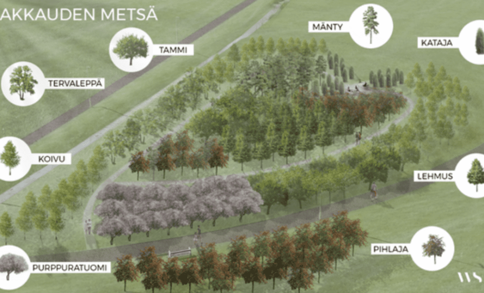 Rakkauden Metsä istutetaan Vuosaaren liikuntapuistoon.