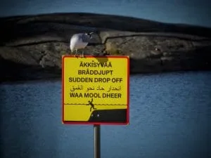 Kuvassa on uusi varoituskyltti äkkisyvästä Aurinkolahden rannalla. Teksti on kirjoitettu suomeksi, ruotsiksi, englanniksi, arabiaksi ja somaliksi. Uusia varoituskylttejä on tuotu kesällä 2020 Aurinkolahden, Kallahdenniemen, Tuoriniemen, Hietaniemen, Pikkukosken, Pakilan, Pukinmäen ja Tapaninvainion uimarannoille. Kylteissä varoitetaan esimerkiksi äkkisyväpaikoista ja virtauksista. Kuva: Aage