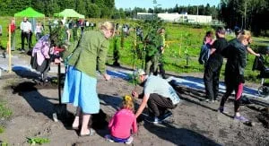 Elokuussa 2020 Porslahden puistoon perustettu Rakkauden Metsä on jo hieman huonossa kunnossa. Milloin sitä kunnostetaan?