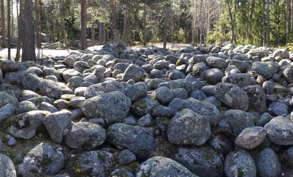 Litorina-meren rantakivikko ja lohkareikko.