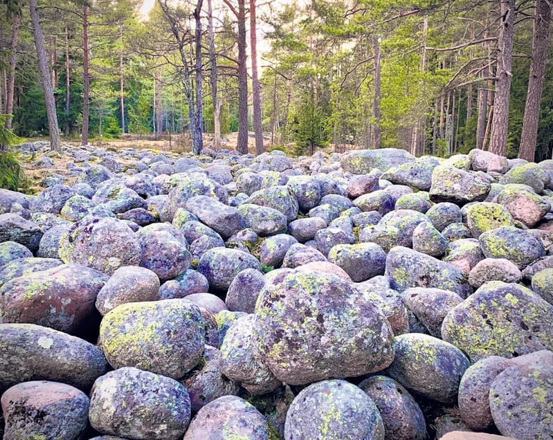 Natalja Tchekounovan kuva "Muinaisranta" sai kunniamaininnan.