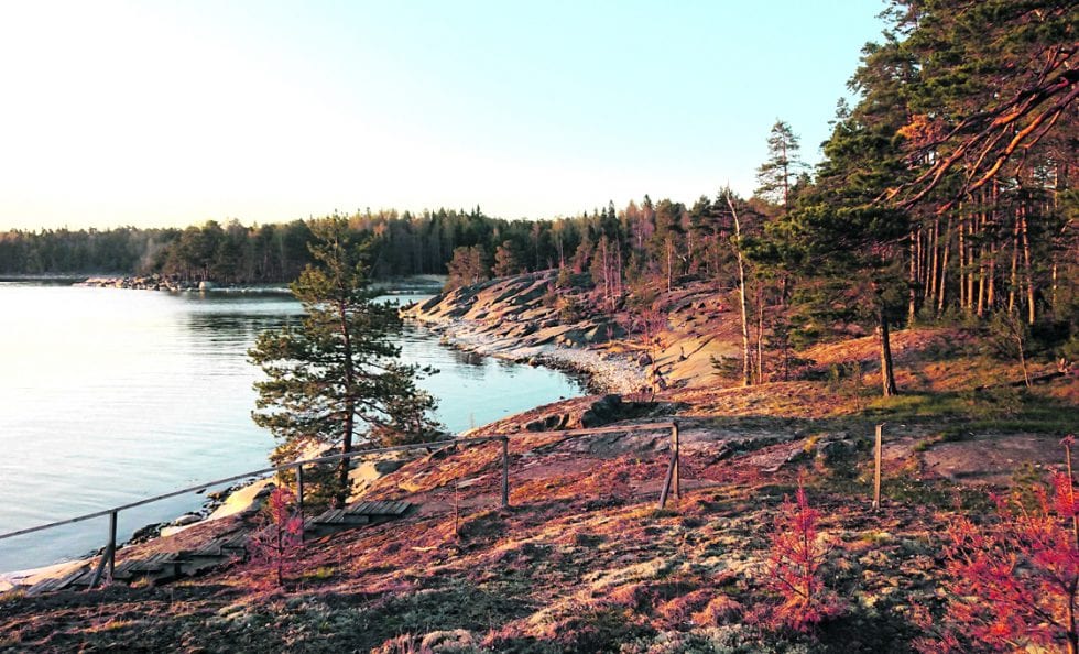 Nuottasaaren ranta. Nuottasaari sijaitsee Uutelan ulkoilualueen edustalla. Kuva: Helsingin kaupunki