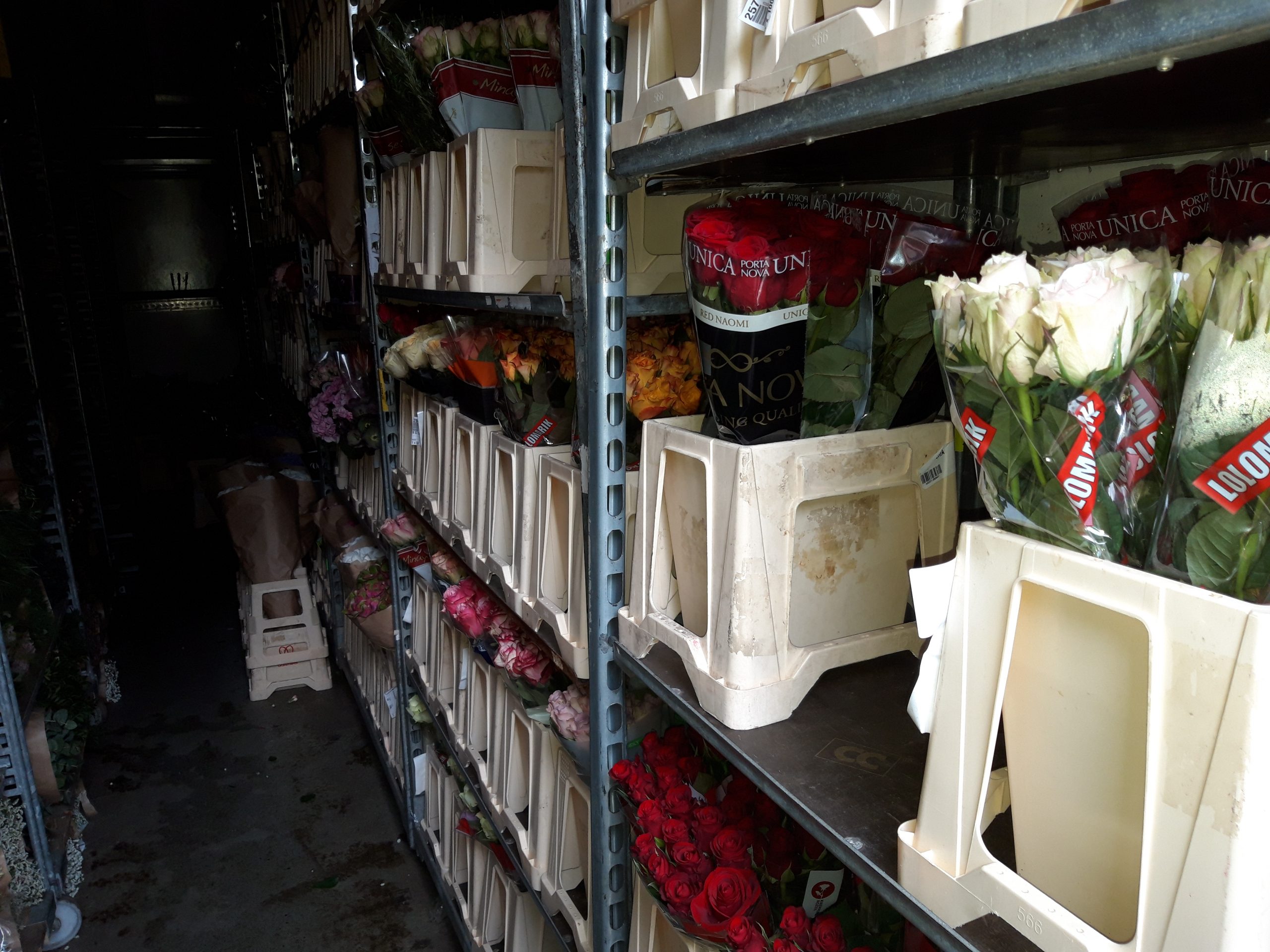 Huumausaineet oli pakattu kuorma-autoon kukkien ja kasvien kuljetusruukkuihin. Kuva: KRP