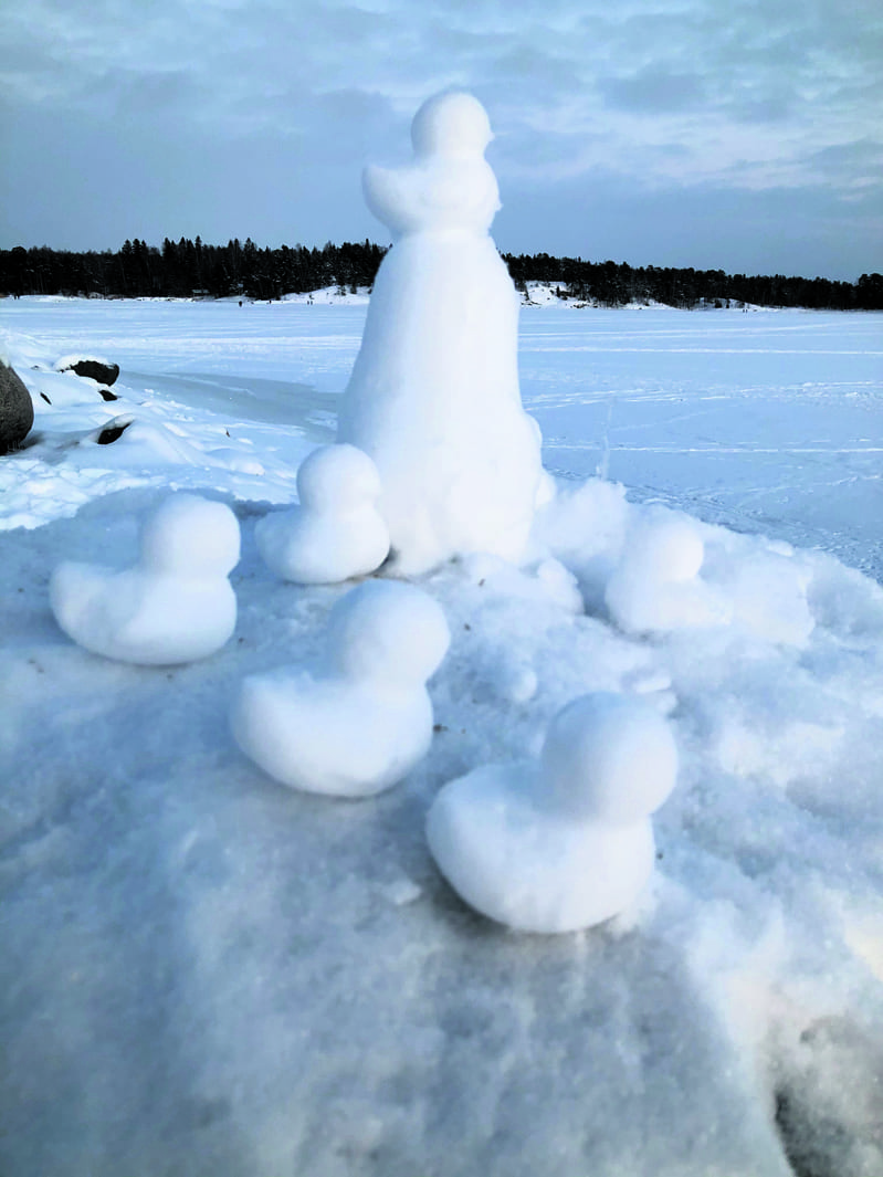 Lumiankkoja Aurinkolahdessa. Kuva: Katja Karjalainen