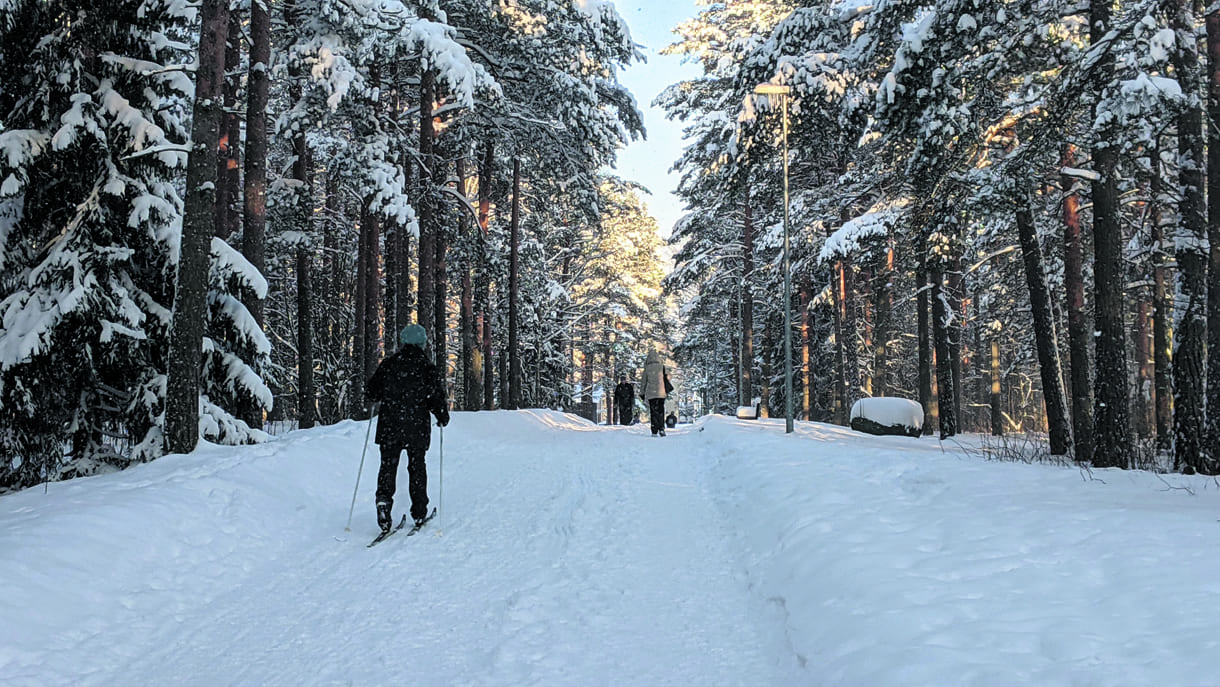 Harvinaista herkkua: suksilla Vuosaaren keskuspuiston puistopolkua pitkin helmikuussa 2021.    Kuva: Matti Pöhö
