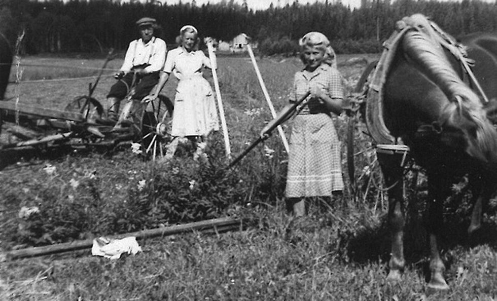 Peltotöissä Rastilan pelloilla 1940-luvun lopulla etualalla Seija Mäkisen äiti Bertta Tikka, enon vaimo Tyyne Tikka sekä isoisä Salomon Tikka ja hänen hevosensa. Kuva: Seija Mäkisen kotialbumi