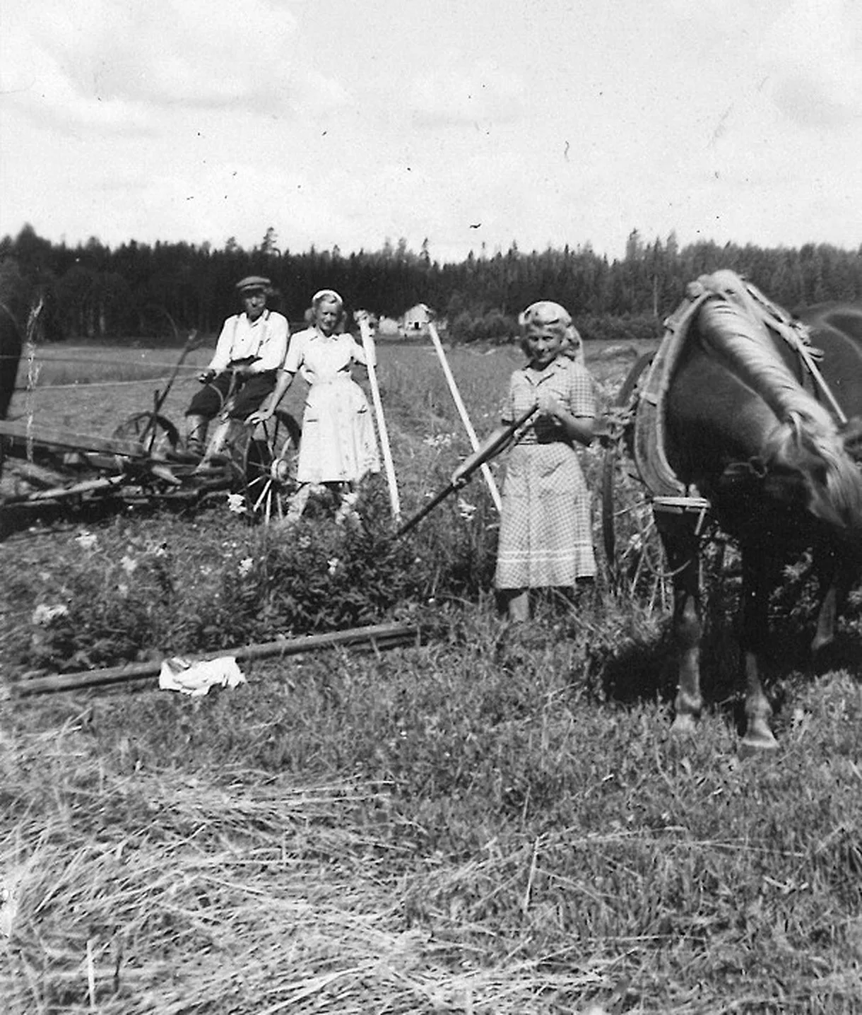 Peltotöissä Rastilan pelloilla 1940-luvun lopulla etualalla Seija Mäkisen äiti Bertta Tikka, enon vaimo Tyyne Tikka sekä isoisä Salomon Tikka ja hänen hevosensa. Kuva: Seija Mäkisen kotialbumi
