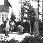 Hiihtoa Kallvikinniemessä pääsiäisenä 1923