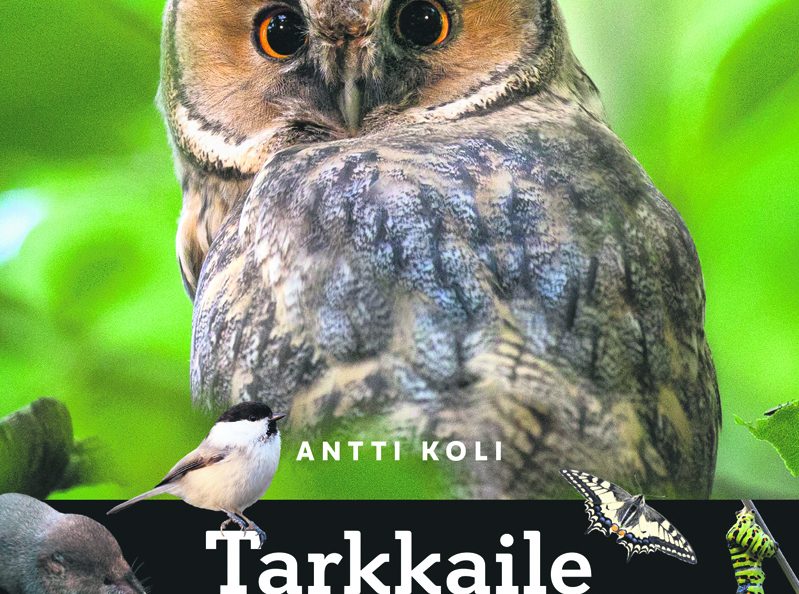 Antti Koli: Tarkkaile lähiluonnon eläimiä. Kustantaja: Karttakeskus. Sivumäärä: 160.