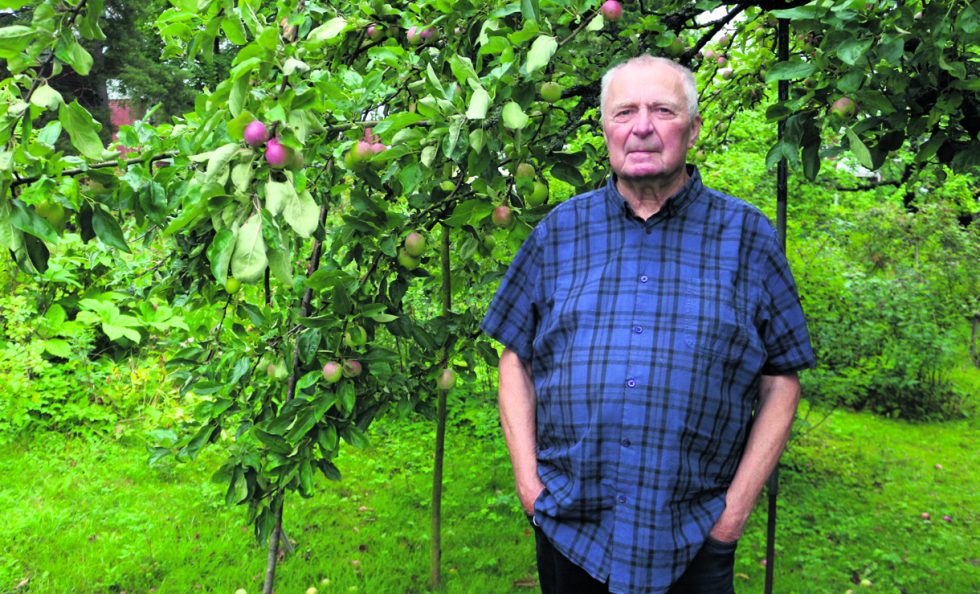 Kalevi Lindén omenapuunsa edessä.