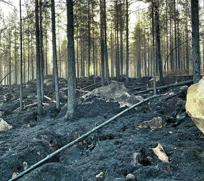 Vuosaaren VPK:sta oli myös henkilöstöä mukana sammuttamassa Kalajoen metsäpaloa. 