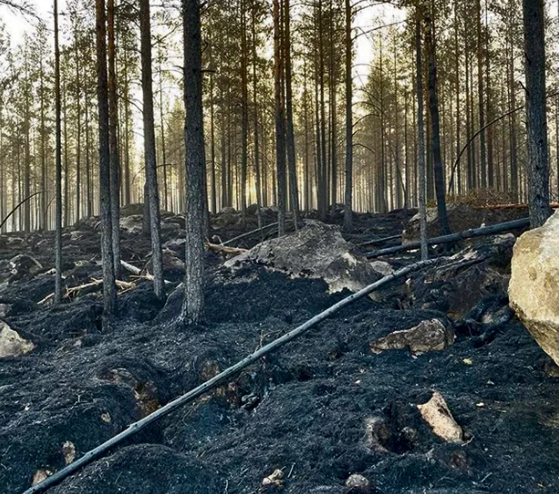 Vuosaaren VPK:sta oli myös henkilöstöä mukana sammuttamassa Kalajoen metsäpaloa.