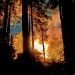 Sauna paloi Uutelassa