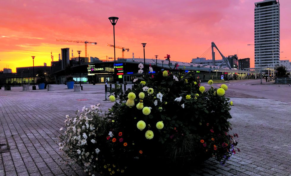 Syysaamu Vuosaaren keskustassa. Kuva: Katja Karjalainen