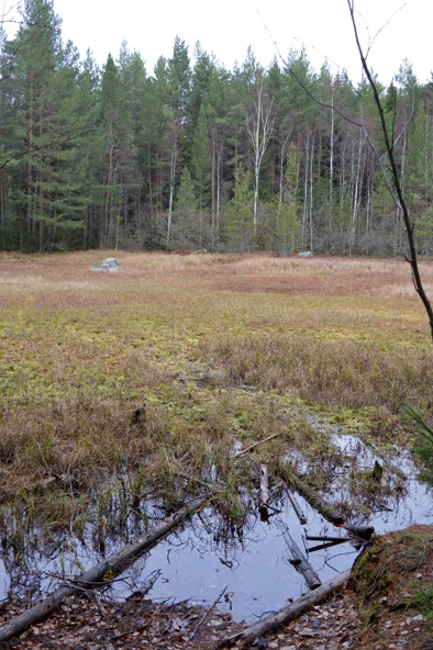 Rudträsk42-21