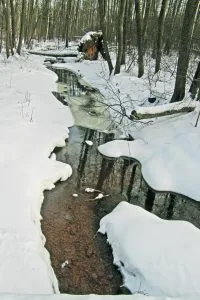 Broändan purossa talvisinkin on talvisinkin elämää, mutta voi sitä litinää, kun toukokuun lopulla ahvenet, särjet ja muut kalat pyrkivät kutemaan. Pohjavesi, lähdevesi, hapettuu lirutellessaan kohti merta luoden hapekasta vettä mätijyvien edulliselle kehitykselle.