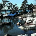 Kevätretkellä Kuningattaressa