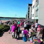 Aurinkokirppis 20.5.