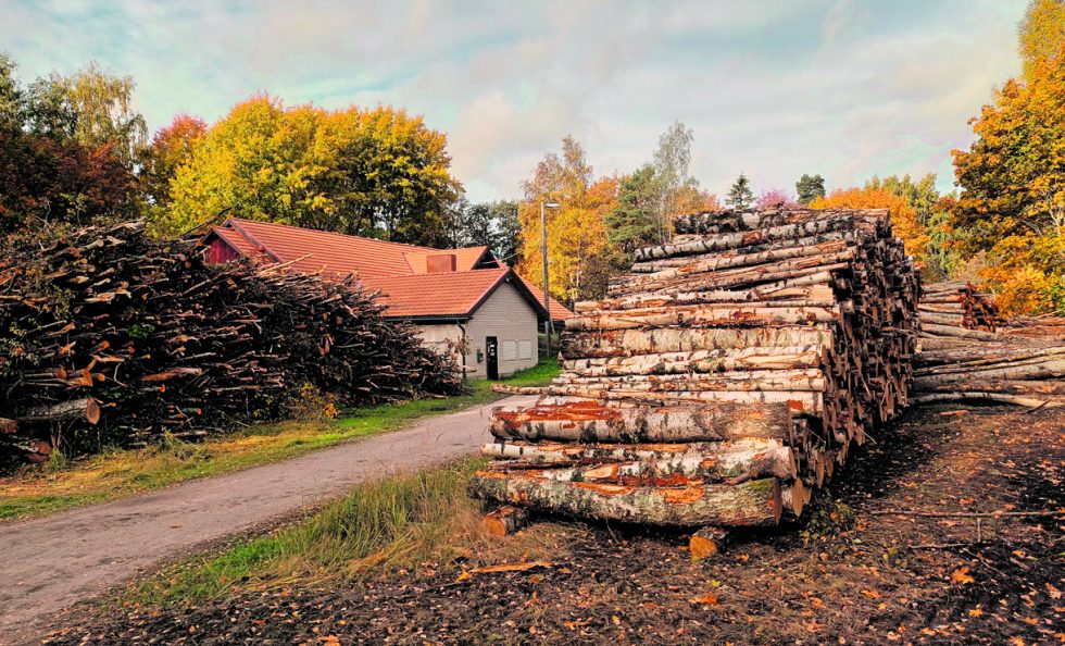 Nordsjön kartanon ja Vuosaaren liikuntapuiston viereisessä metsässä on viime aikoina tehty metsänhoitotöitä. Puustoa ja risukkoa on karsittu Helsingin seurakuntayhtymän toimesta, jolla on ollut pitkään varaus alueelle hautausmaata varten. Kuva kartanon entisen navettarakennuksen vierestä.