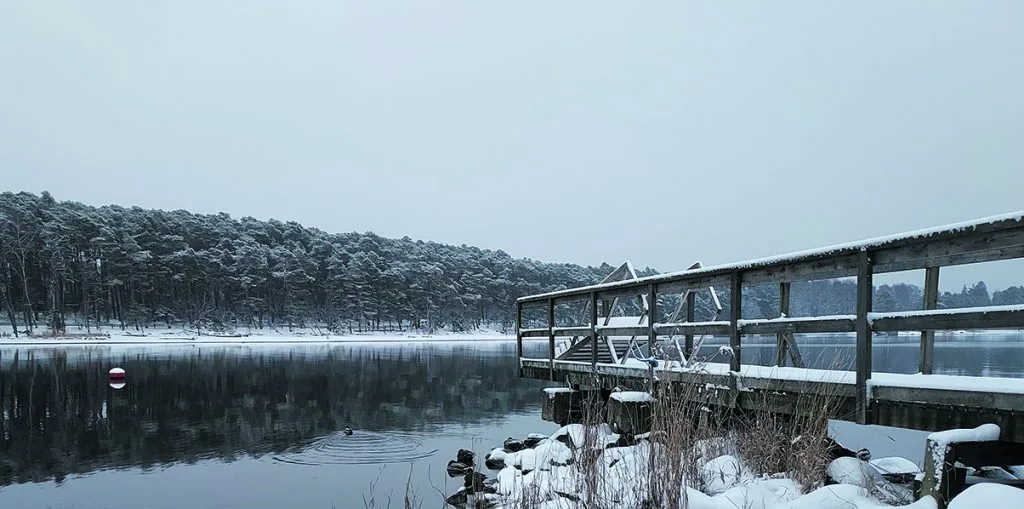 Vuosaari-Seuran ylläpitämä talviuintipaikka aukeaa nyt joulukuussa Sannan saunalle (pieni kuva) Harbonkatu 13:een.