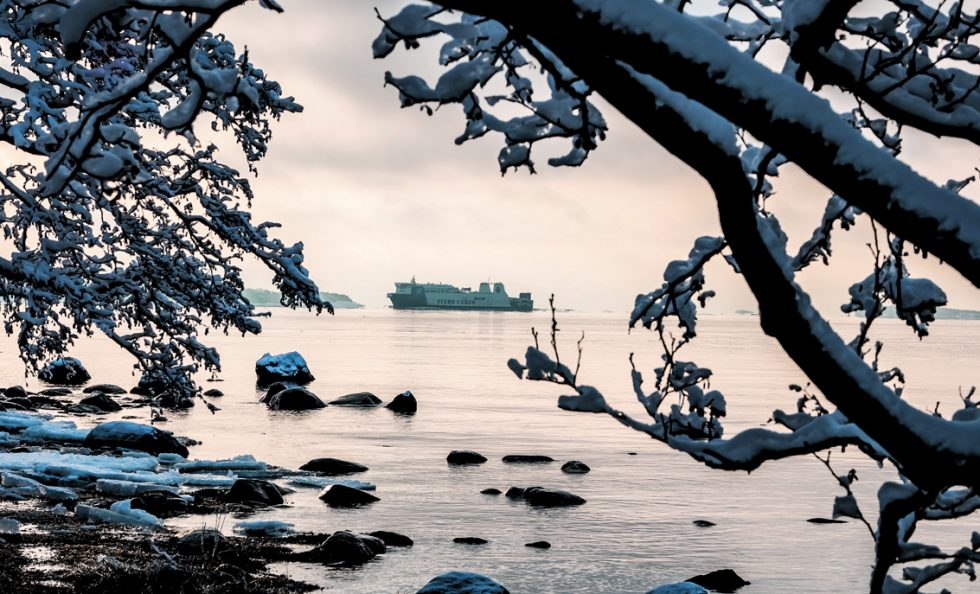 Talvella Vuosaaren rannalla. Kuva: Seppo Hatakka