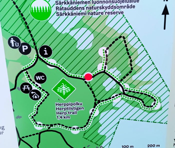 Uutelan Särkkäniemeen avattu herppipolku on 1,4 kilometriä pitkä ja sen voi käydä läpi mihin suuntaan tahansa.