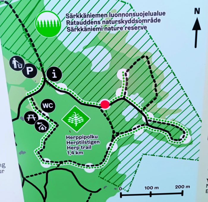 Uutelan Särkkäniemeen avattu herppipolku on 1,4 kilometriä pitkä ja sen voi käydä läpi mihin suuntaan tahansa.