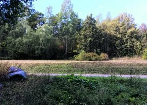 Porslaxin vanhaa niittyä.