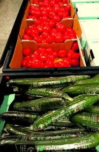Kohonneet energiakustannukset johtivat talvella jopa monen kasvihuoneen sulkemiseen.
