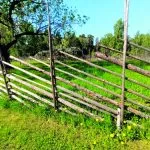 Luonnonhoitotalkoot Uutelan perinnemaisemissa