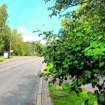 Kallvikintiellä vaarallinen suojatie