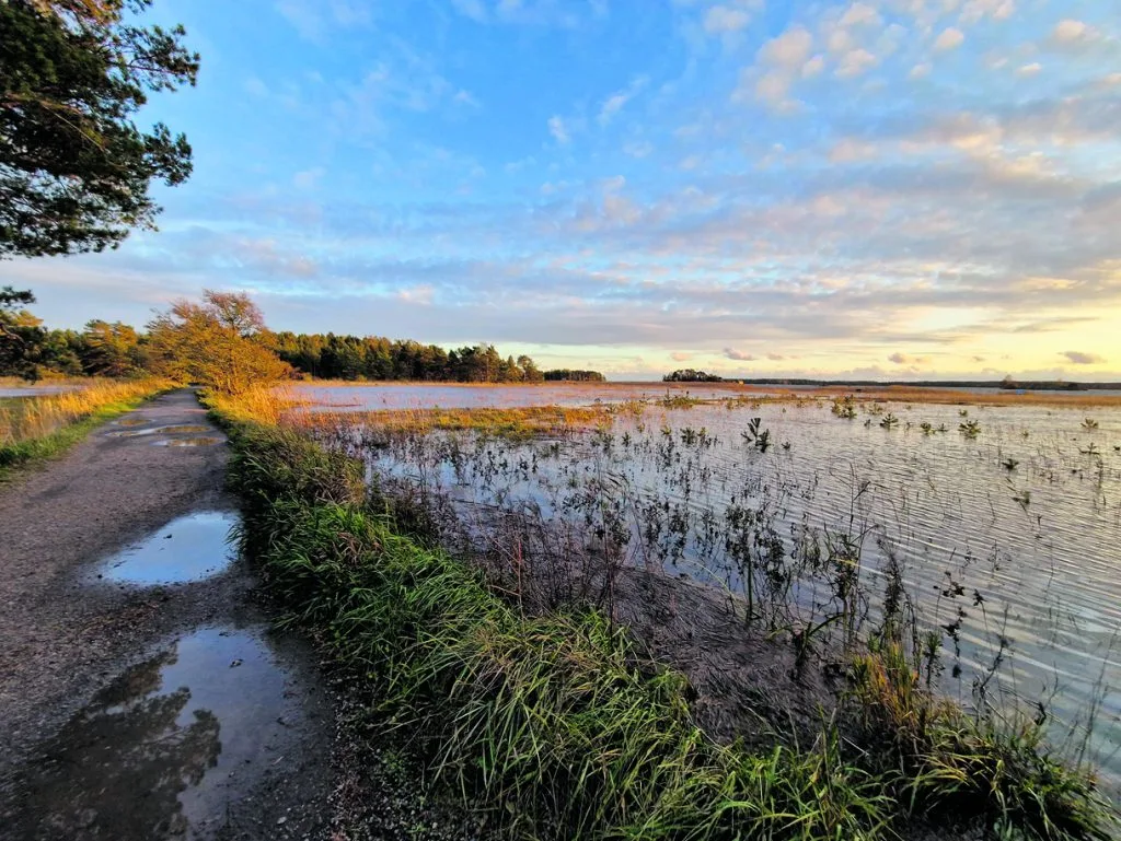 Torstaina 12.10. meriveden korkeus oli +91 cm (N2000). Vesi ylsi lähes Kuningattarenpolulle, ja osa normaalisti Kuningattaren länsirannalla olevista soutuveneistä oli jo osittain huuhtoutunut veden varaan. Jani Toivokoski