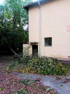 Kaatunut puu Vuoniityn peruskoulun pihalla Heteniityntiellä.