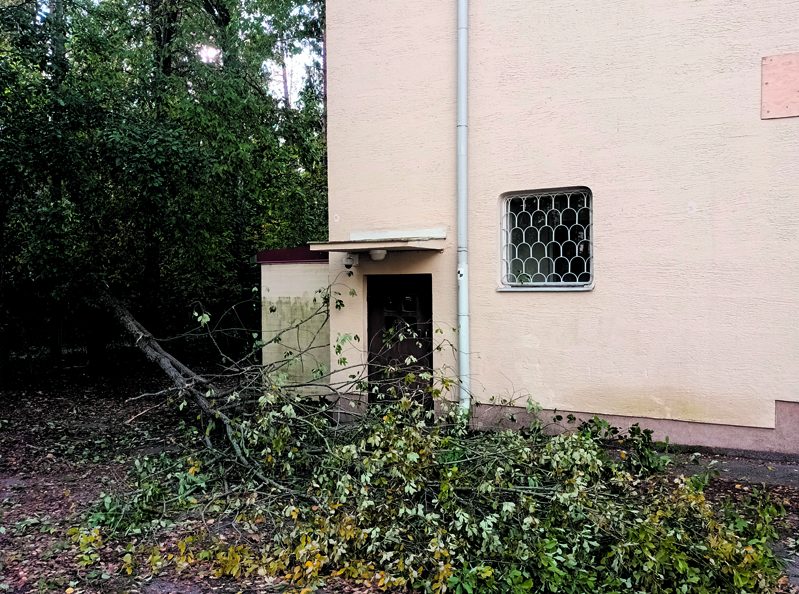 Kaatunut puu Vuoniityn peruskoulun pihalla Heteniityntiellä.