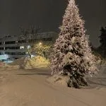 Vuosaari-lehden joulukuva