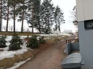 Sivullinen henkilö löysi vainajan Vuosaarentien ja Ulappasaarentien välisten mäntyjen luota tiistaina 27.2. noin kello 13 aikaan.