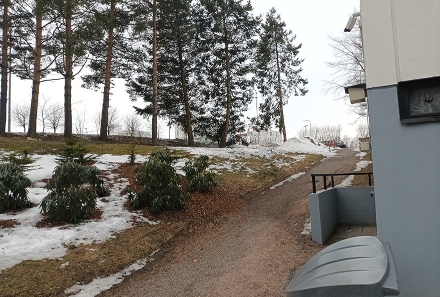Sivullinen henkilö löysi vainajan Vuosaarentien ja Ulappasaarentien välisten mäntyjen luota tiistaina 27.2. noin kello 13 aikaan.