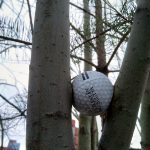 Pallot puussa