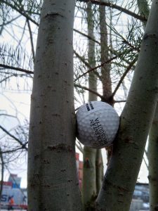 Vanhakansa sanoi: jos golfpallot ovat puussa, niin niitä on myös maassa! Palloja on useammassakin kadunvarren puussa Vuosaaren golfkentän ABB:n puoleisella sivulla. Terveisin Kevätbongari