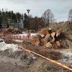 Ilveskorvenpuiston remontti alkoi