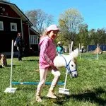 Marttojen metsäjuhlat Skatalla